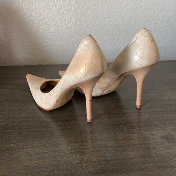 Sexy python - Picture 3 of 3